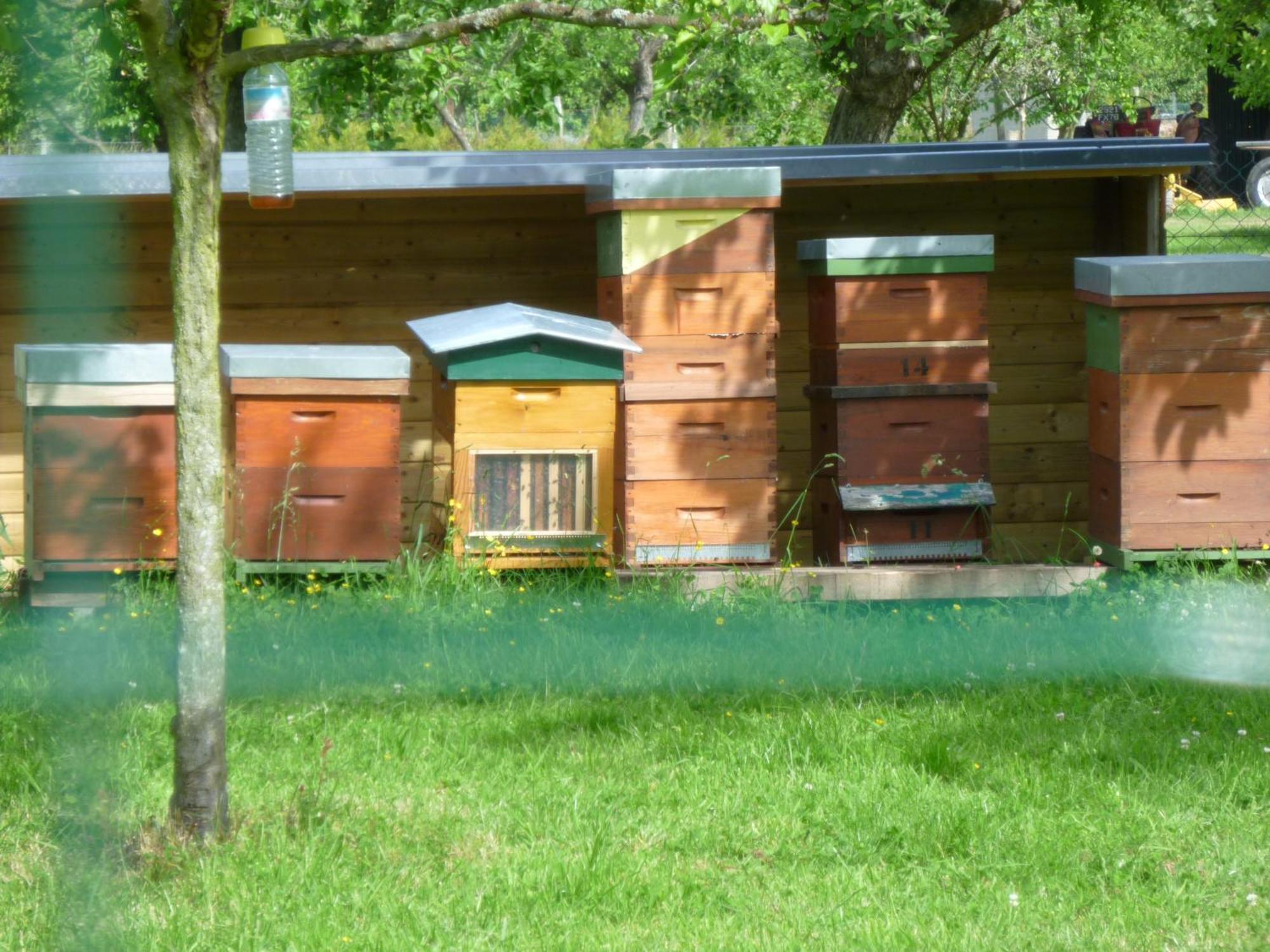 Chambre D'Hotes Au Fil De L'Eau Jumièges Zewnętrze zdjęcie