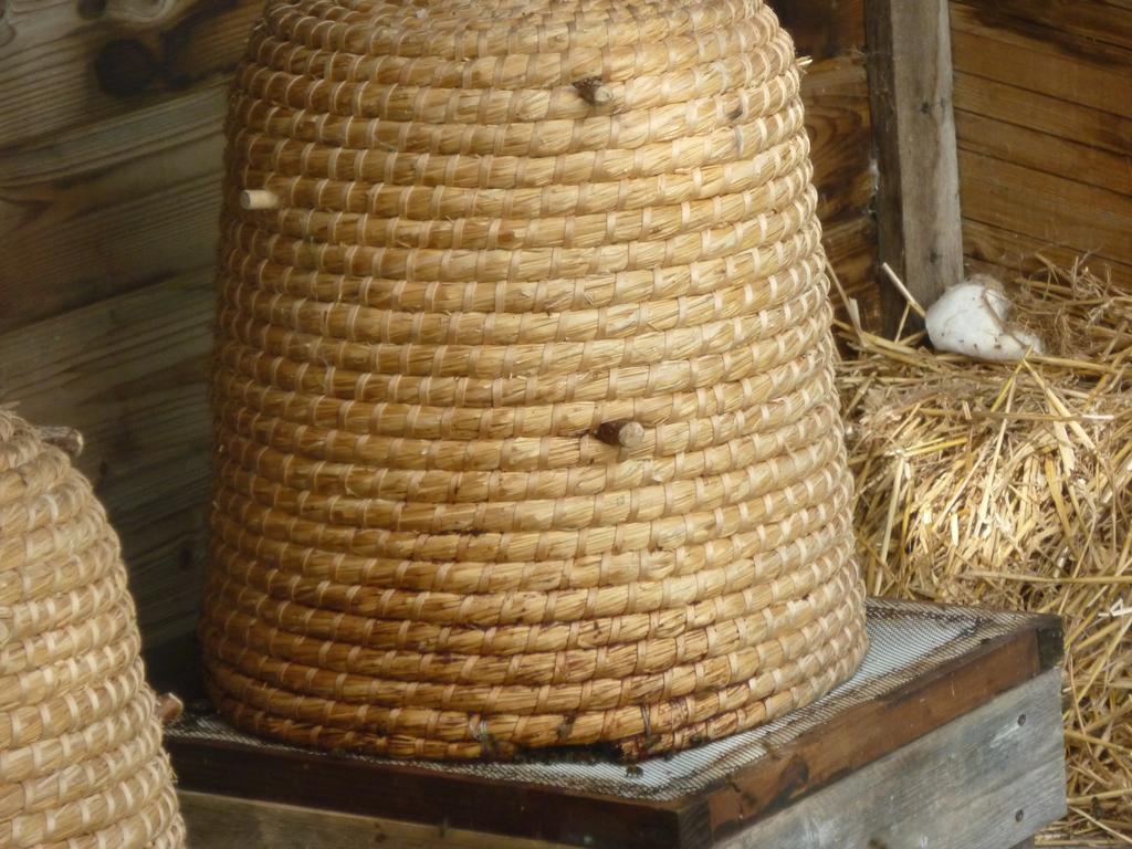 Chambre D'Hotes Au Fil De L'Eau Jumièges Zewnętrze zdjęcie